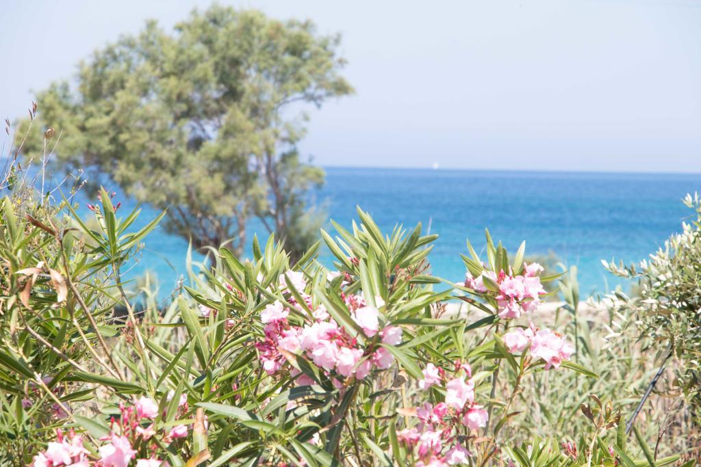 Villa Yialos Antiparos Town المظهر الخارجي الصورة